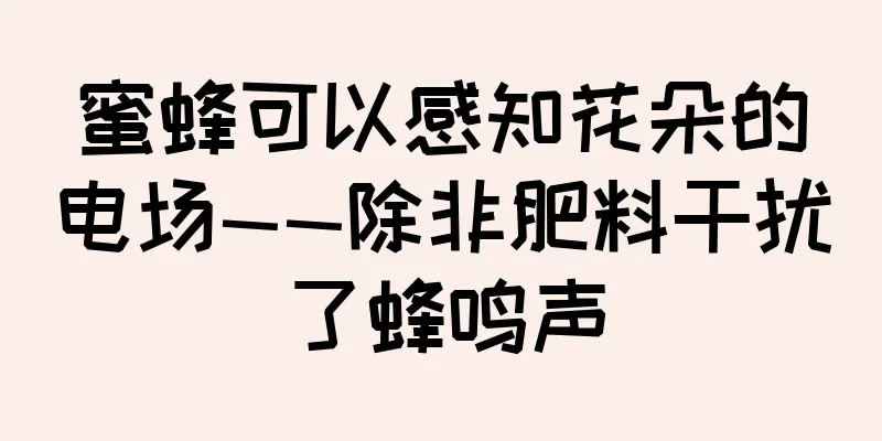 蜜蜂可以感知花朵的电场——除非肥料干扰了蜂鸣声