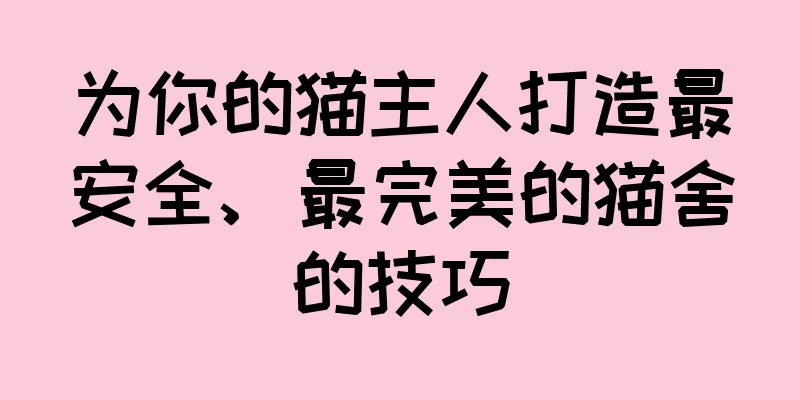 为你的猫主人打造最安全、最完美的猫舍的技巧