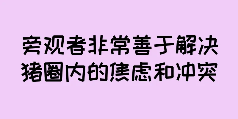 旁观者非常善于解决猪圈内的焦虑和冲突