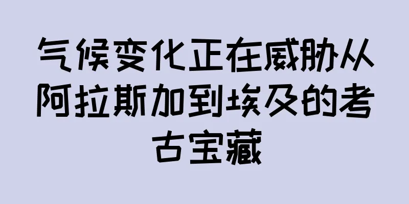 气候变化正在威胁从阿拉斯加到埃及的考古宝藏