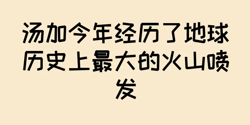 汤加今年经历了地球历史上最大的火山喷发