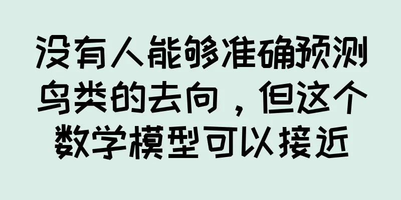 没有人能够准确预测鸟类的去向，但这个数学模型可以接近