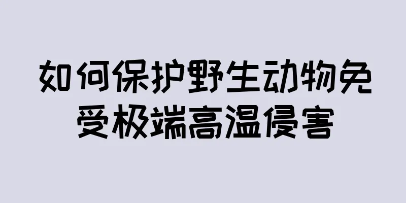 如何保护野生动物免受极端高温侵害