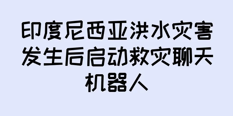 印度尼西亚洪水灾害发生后启动救灾聊天机器人