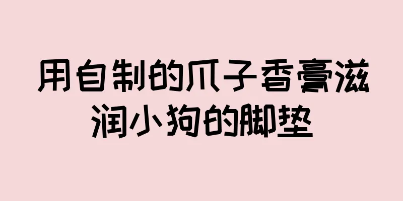 用自制的爪子香膏滋润小狗的脚垫