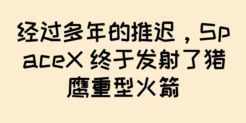 经过多年的推迟，SpaceX 终于发射了猎鹰重型火箭