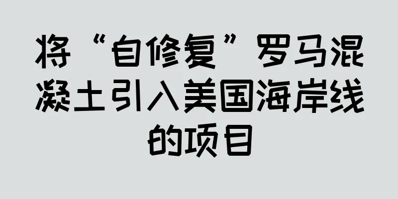 将“自修复”罗马混凝土引入美国海岸线的项目