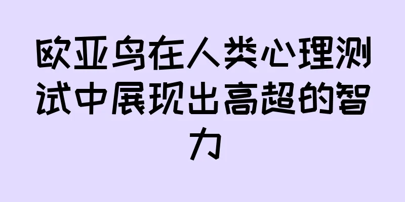 欧亚鸟在人类心理测试中展现出高超的智力