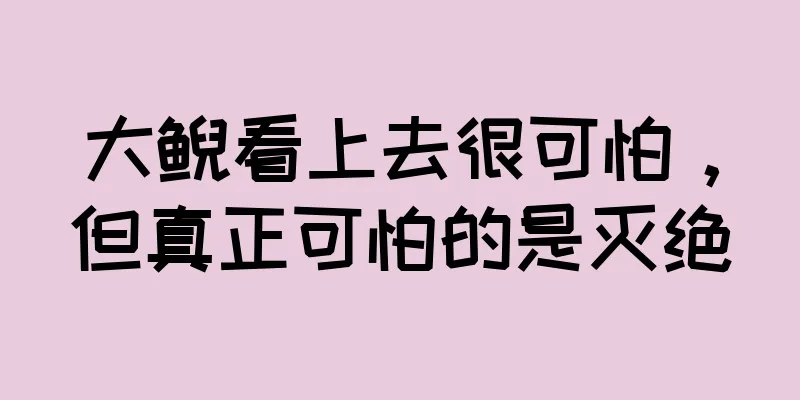 大鲵看上去很可怕，但真正可怕的是灭绝
