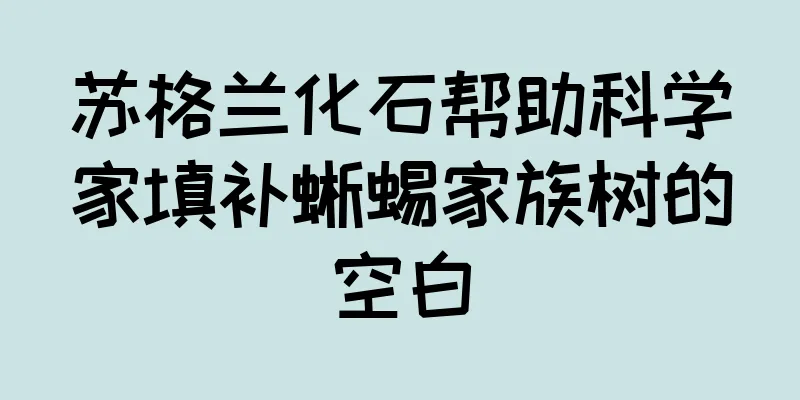 苏格兰化石帮助科学家填补蜥蜴家族树的空白