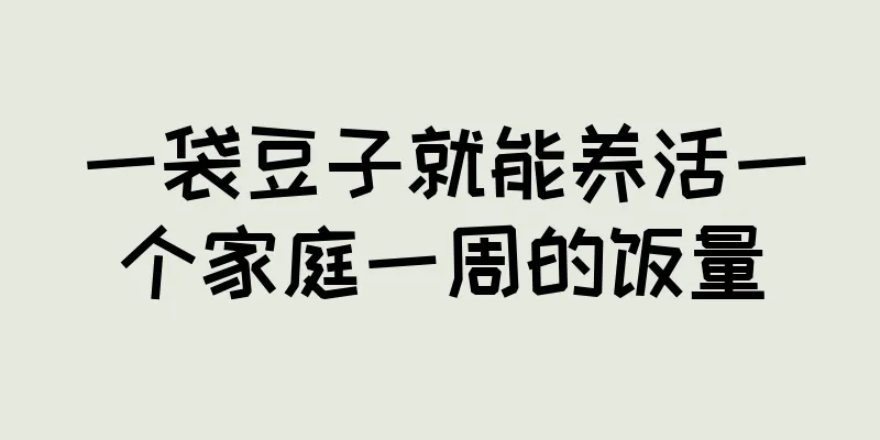 一袋豆子就能养活一个家庭一周的饭量