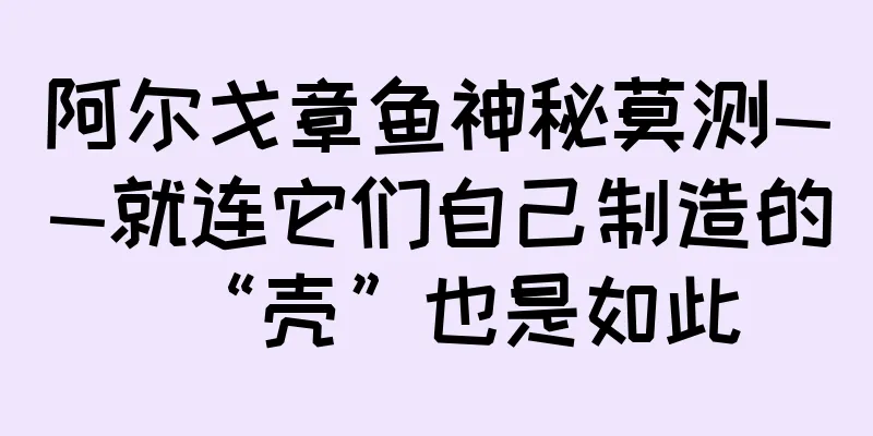 阿尔戈章鱼神秘莫测——就连它们自己制造的“壳”也是如此