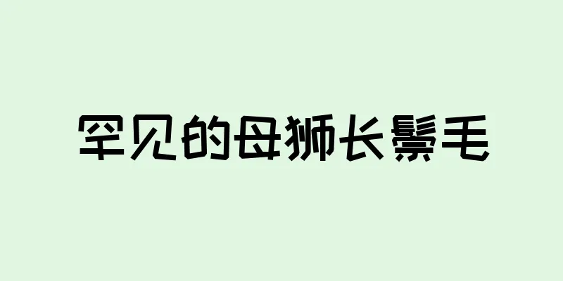 罕见的母狮长鬃毛