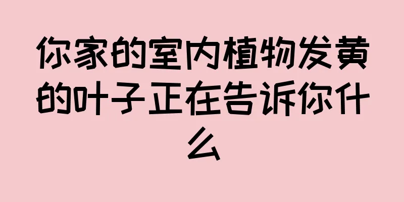 你家的室内植物发黄的叶子正在告诉你什么