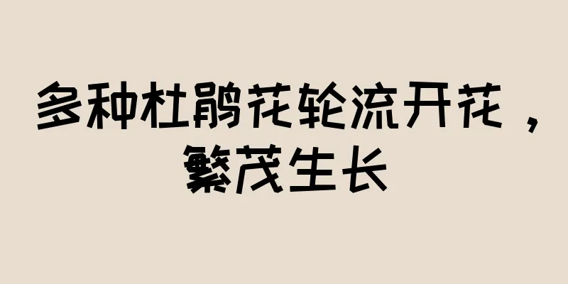 多种杜鹃花轮流开花，繁茂生长