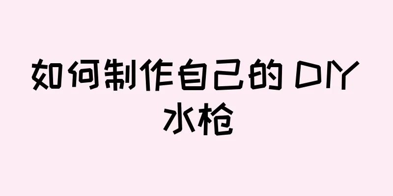 如何制作自己的 DIY 水枪