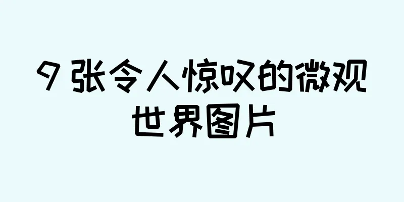 9 张令人惊叹的微观世界图片