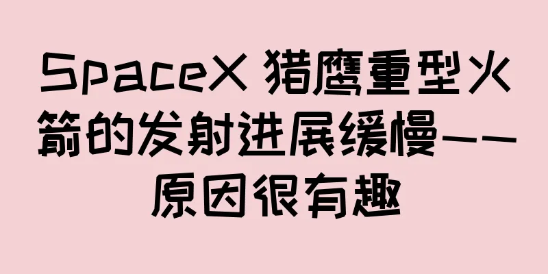 SpaceX 猎鹰重型火箭的发射进展缓慢——原因很有趣