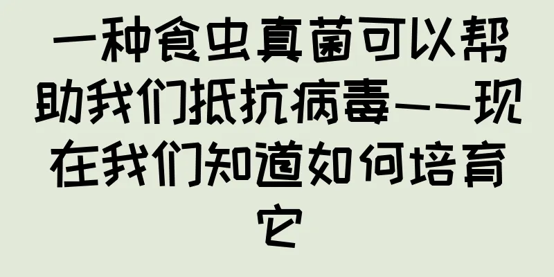 一种食虫真菌可以帮助我们抵抗病毒——现在我们知道如何培育它