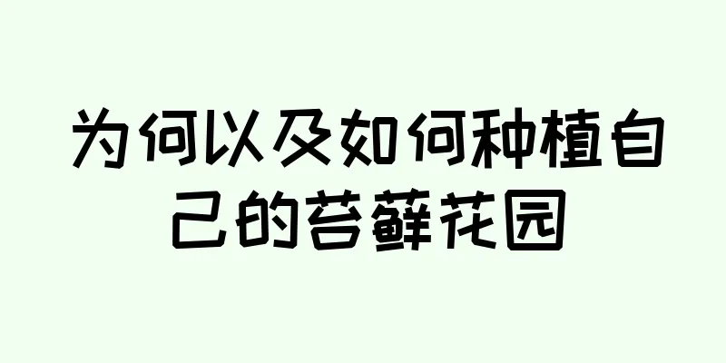 为何以及如何种植自己的苔藓花园