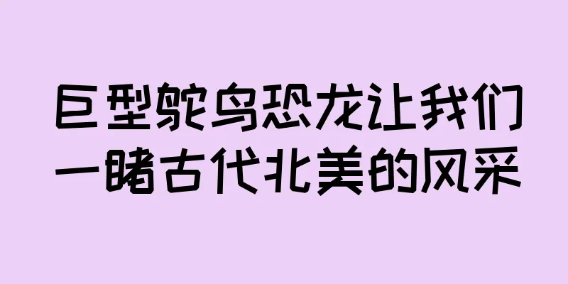巨型鸵鸟恐龙让我们一睹古代北美的风采