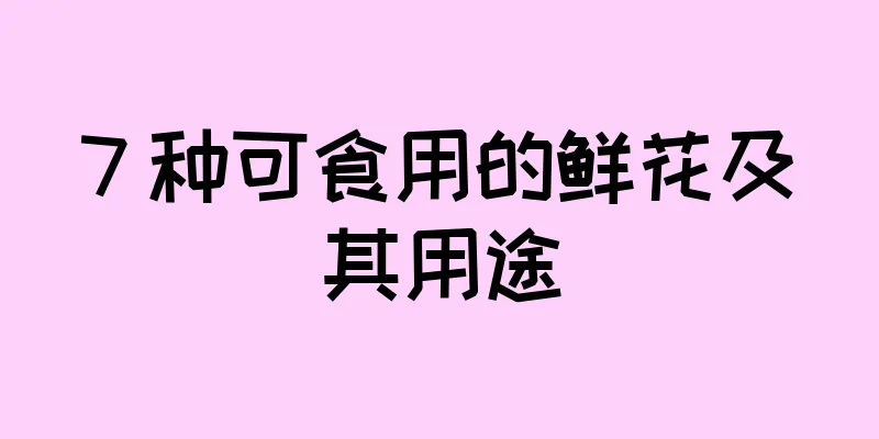 7 种可食用的鲜花及其用途