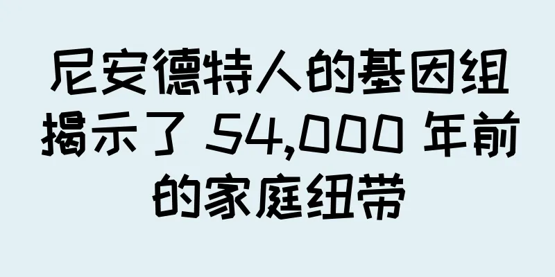 尼安德特人的基因组揭示了 54,000 年前的家庭纽带
