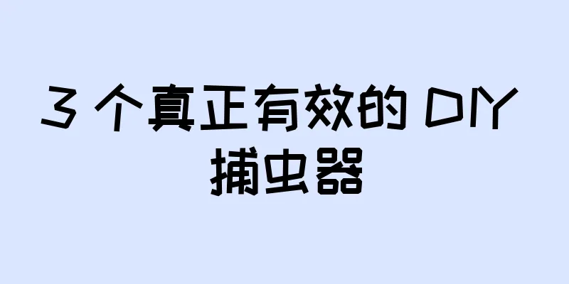3 个真正有效的 DIY 捕虫器