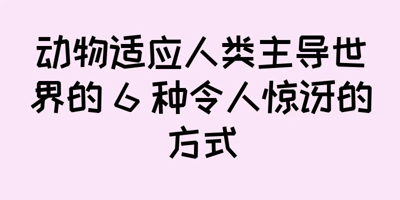 动物适应人类主导世界的 6 种令人惊讶的方式