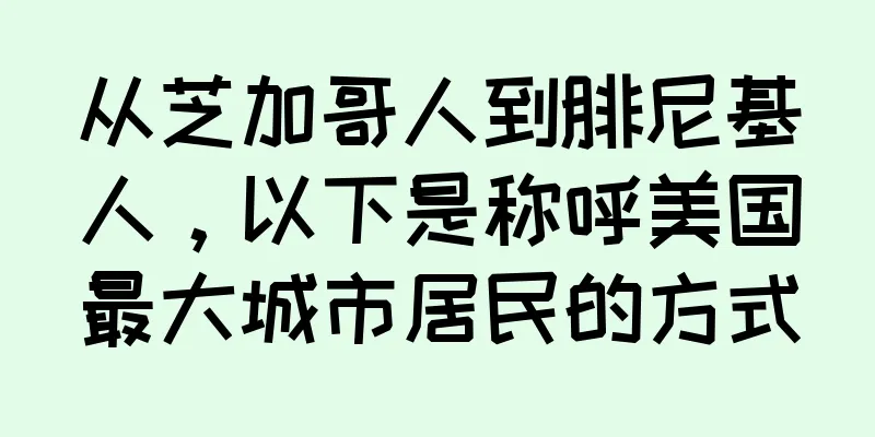 从芝加哥人到腓尼基人，以下是称呼美国最大城市居民的方式