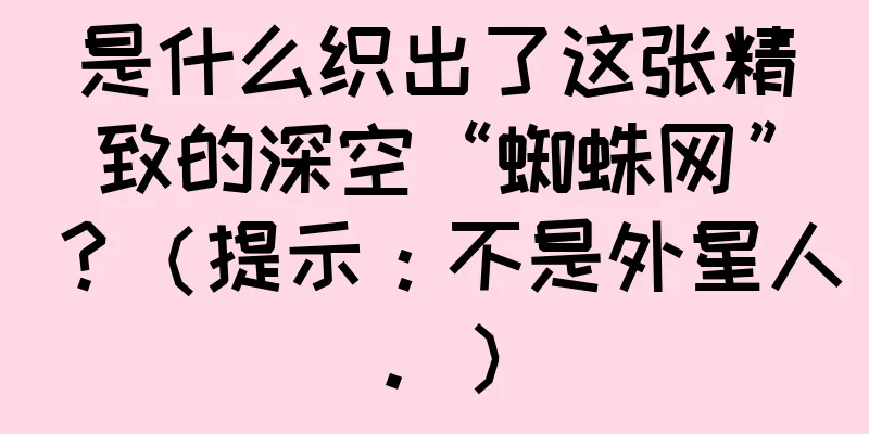 是什么织出了这张精致的深空“蜘蛛网”？（提示：不是外星人。）