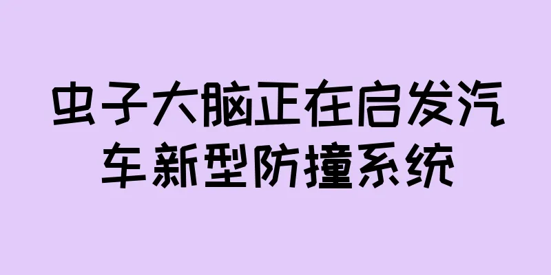 虫子大脑正在启发汽车新型防撞系统
