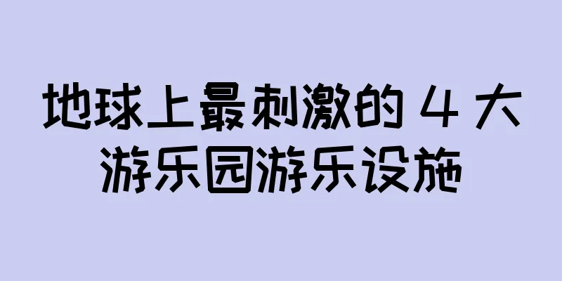 地球上最刺激的 4 大游乐园游乐设施