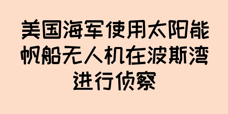 美国海军使用太阳能帆船无人机在波斯湾进行侦察