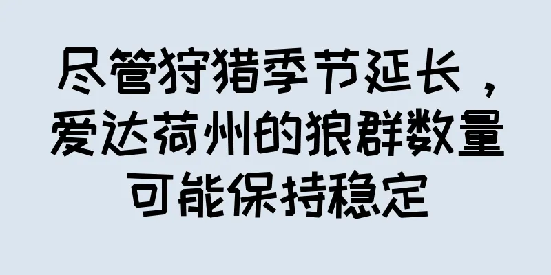 尽管狩猎季节延长，爱达荷州的狼群数量可能保持稳定