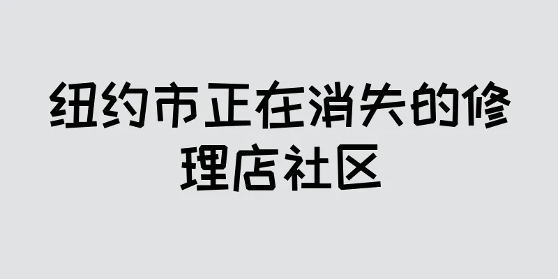 纽约市正在消失的修理店社区