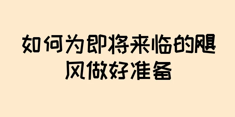 如何为即将来临的飓风做好准备