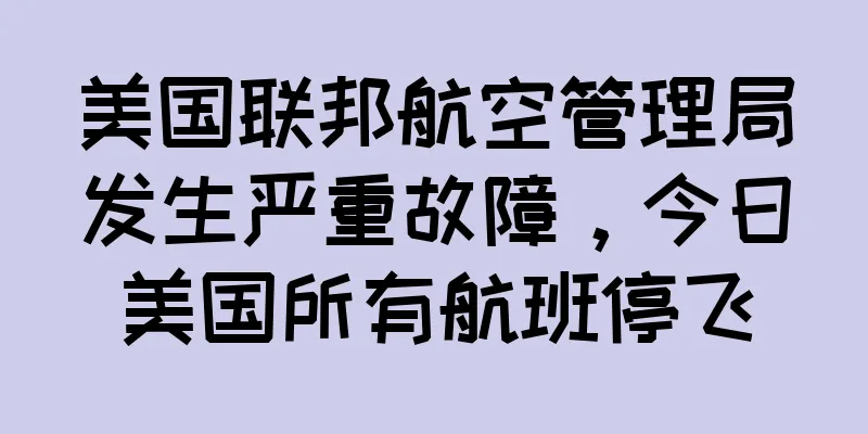 美国联邦航空管理局发生严重故障，今日美国所有航班停飞
