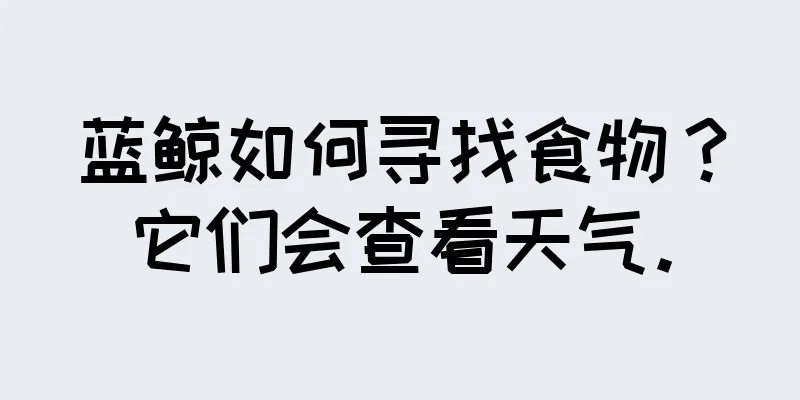 蓝鲸如何寻找食物？它们会查看天气。