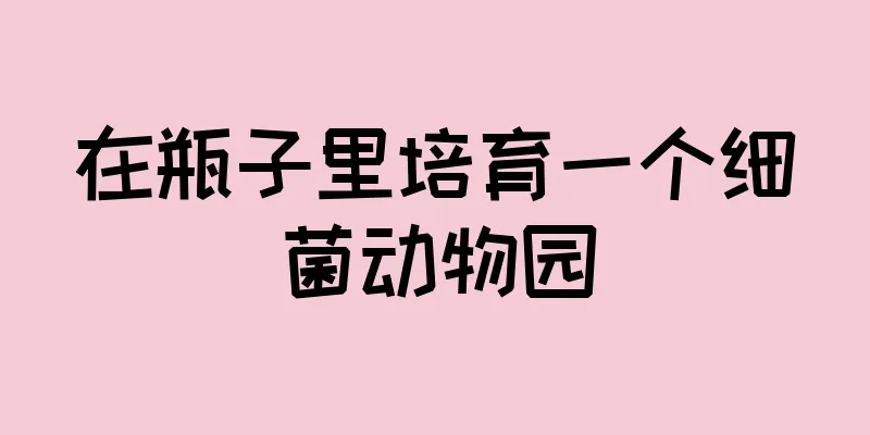 在瓶子里培育一个细菌动物园