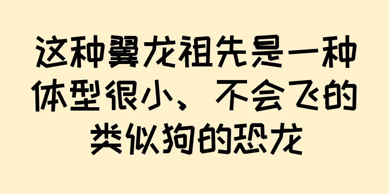 这种翼龙祖先是一种体型很小、不会飞的类似狗的恐龙