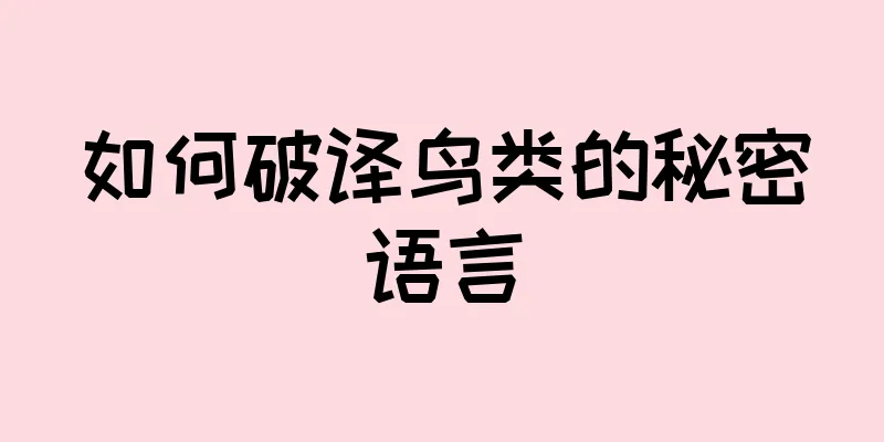 如何破译鸟类的秘密语言