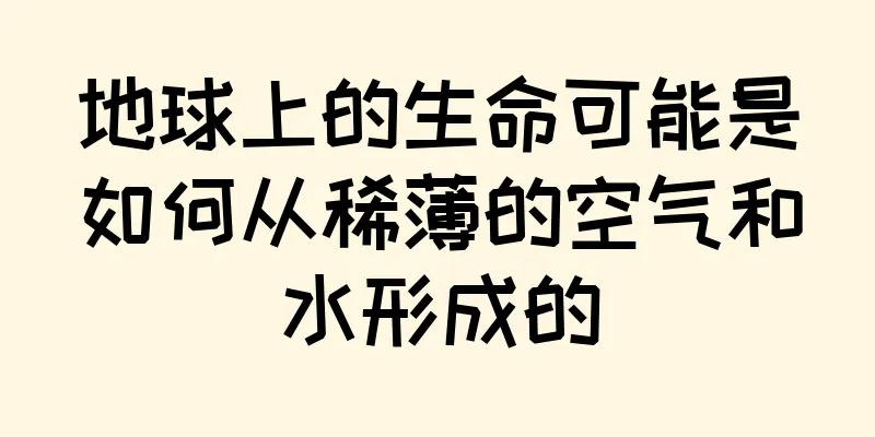 地球上的生命可能是如何从稀薄的空气和水形成的