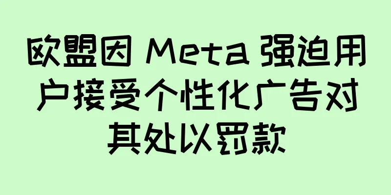 欧盟因 Meta 强迫用户接受个性化广告对其处以罚款