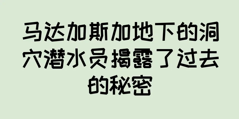 马达加斯加地下的洞穴潜水员揭露了过去的秘密