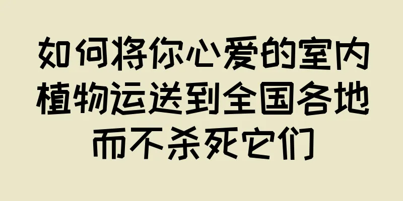 如何将你心爱的室内植物运送到全国各地而不杀死它们