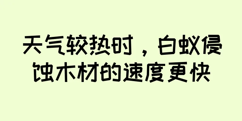 天气较热时，白蚁侵蚀木材的速度更快