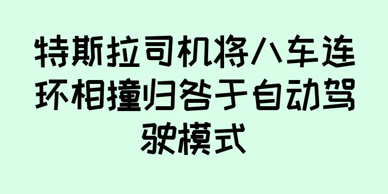 特斯拉司机将八车连环相撞归咎于自动驾驶模式