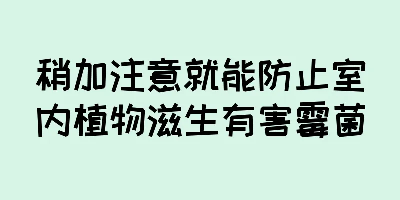 稍加注意就能防止室内植物滋生有害霉菌