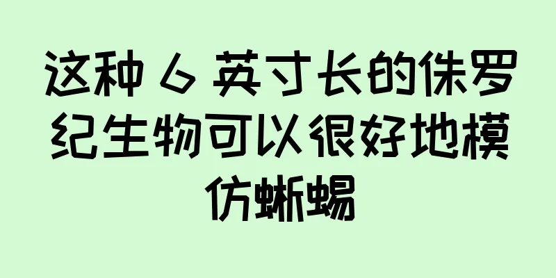 这种 6 英寸长的侏罗纪生物可以很好地模仿蜥蜴